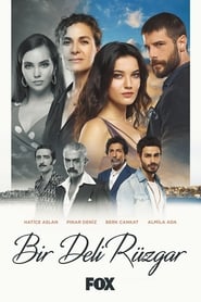 Un vant nebun Episodul 3